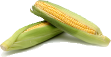 corn